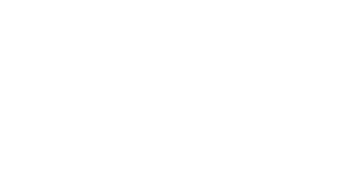 Nicolas Rochon Agency